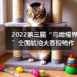 2022第三届“鸟瞰视界”全国航拍大赛投稿作品精选(63)(图3) 2022第三届“鸟瞰视界”全国航拍大赛投稿作品精选(63)(图3)
