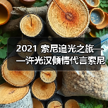 2021 索尼追光之旅——许光汉倾情代言索尼数码影像产品（图2）