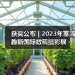 获奖公布 | 2023年塞浦路斯国际数码摄影展 - 彩色开放组(图4) 获奖公布 | 2023年塞浦路斯国际数码摄影展 - 彩色开放组(图4)