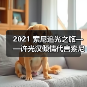2021 索尼追光之旅——许光汉倾情代言索尼数码影像产品（图2）