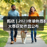 揭晓 | 2023年单色摄影大赛获奖作品公布（图2）