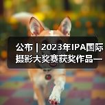 公布 | 2023年IPA国际摄影大奖赛获奖作品——非专业组-特殊类(图1) 公布 | 2023年IPA国际摄影大奖赛获奖作品——非专业组-特殊类(图1)