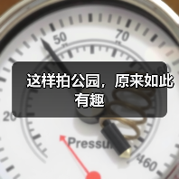 这样拍公园,原来如此有趣(图1) 这样拍公园,原来如此有趣(图1)