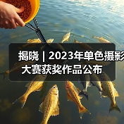 揭晓 | 2023年单色摄影大赛获奖作品公布（图3）