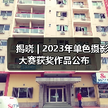 揭晓 | 2023年单色摄影大赛获奖作品公布（图4）