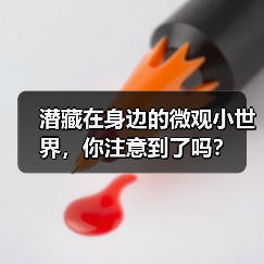 潜藏在身边的微观小世界,你注意到了吗?(图1) 潜藏在身边的微观小世界,你注意到了吗?(图1)