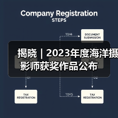 揭晓 | 2023年度海洋摄影师获奖作品公布(图1) 揭晓 | 2023年度海洋摄影师获奖作品公布(图1)