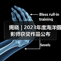 揭晓 | 2023年度海洋摄影师获奖作品公布(图2) 揭晓 | 2023年度海洋摄影师获奖作品公布(图2)
