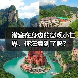 潜藏在身边的微观小世界,你注意到了吗?(图3) 潜藏在身边的微观小世界,你注意到了吗?(图3)