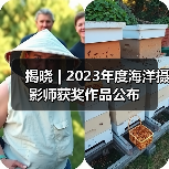 揭晓 | 2023年度海洋摄影师获奖作品公布(图3) 揭晓 | 2023年度海洋摄影师获奖作品公布(图3)