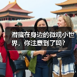 潜藏在身边的微观小世界,你注意到了吗?(图4) 潜藏在身边的微观小世界,你注意到了吗?(图4)
