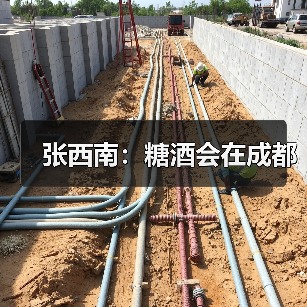 张西南:糖酒会在成都(图2) 张西南:糖酒会在成都(图2)
