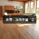 张茂:深海中国“芯”(图1) 张茂:深海中国“芯”(图1)