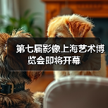 第七届影像上海艺术博览会即将开幕(图3) 第七届影像上海艺术博览会即将开幕(图3)