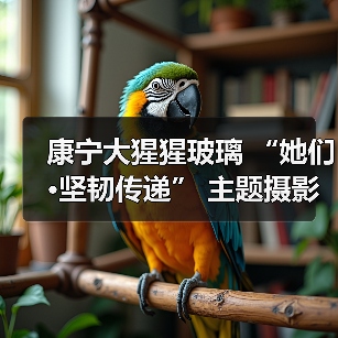 康宁大猩猩玻璃 “她们·坚韧传递” 主题摄影艺术展北京开幕(图2) 康宁大猩猩玻璃 “她们·坚韧传递” 主题摄影艺术展北京开幕(图2)