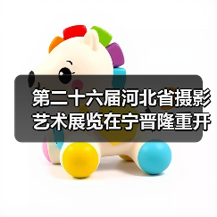 第二十六届河北省摄影艺术展览在宁晋隆重开幕（图4）