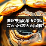 湖州市摄影家协会第八次会员代表大会顺利召开,支江连任主席(图3) 湖州市摄影家协会第八次会员代表大会顺利召开,支江连任主席(图3)