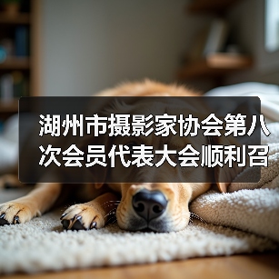 湖州市摄影家协会第八次会员代表大会顺利召开,支江连任主席(图4) 湖州市摄影家协会第八次会员代表大会顺利召开,支江连任主席(图4)