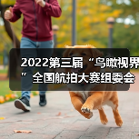 2022第三届“鸟瞰视界”全国航拍大赛组委会名单公布（图4）