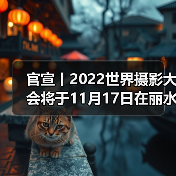 官宣丨2022世界摄影大会将于11月17日在丽水举办(图4) 官宣丨2022世界摄影大会将于11月17日在丽水举办(图4)