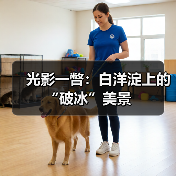 光影一瞥：白洋淀上的“破冰”美景（图4）
