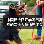 中国摄协召开学习贯彻党的二十大精神座谈会(图2) 中国摄协召开学习贯彻党的二十大精神座谈会(图2)