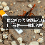 描绘新时代 擘画新征程 | “筑梦——我们的新时代美术 摄影作品展”开幕（图2）