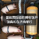 曾毅国际摄影博物馆开馆典礼在济南举行(图2) 曾毅国际摄影博物馆开馆典礼在济南举行(图2)