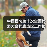 中国摄协第十次全国代表大会代表热议工作报告 | 凝心铸魂奋进新征程 担当作为勇攀新高峰(图1) 中国摄协第十次全国代表大会代表热议工作报告 | 凝心铸魂奋进新征程 担当作为勇攀新高峰(图1)